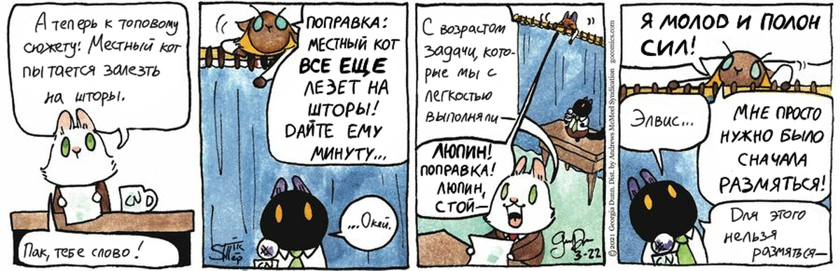 Cat перевод. Три кота комикс.