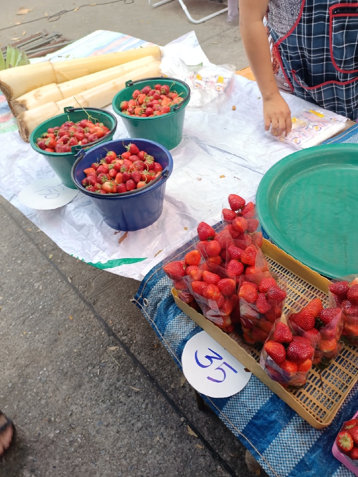 Жизнь в Таиланде за 500$. Цены и что, где, почём Таиланд, Жизнь за границей, Иммиграция, Длиннопост