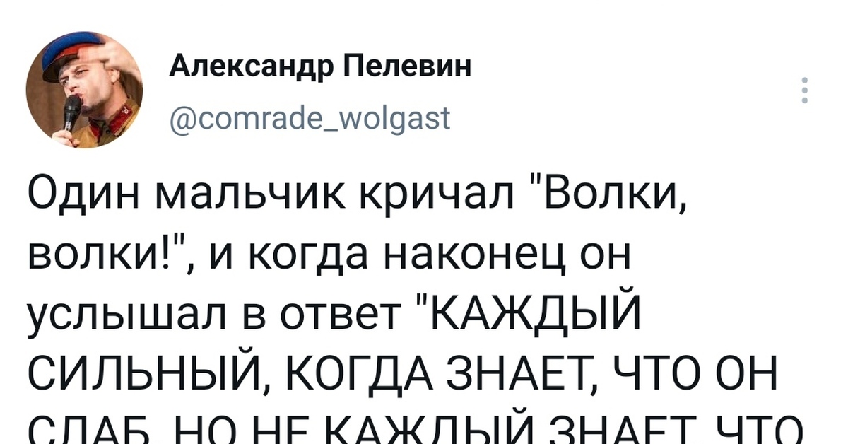 Мальчик который кричал волки сказка. Мальчик который кричал волки. Волки волки кричал мальчик притча. Притча про мальчика который кричал волки.