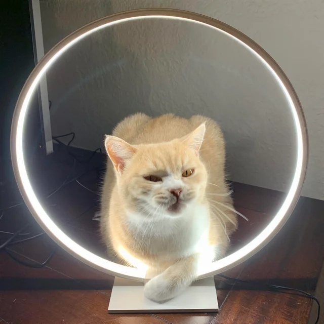 ������ ���������, ������� � �����-���� ������