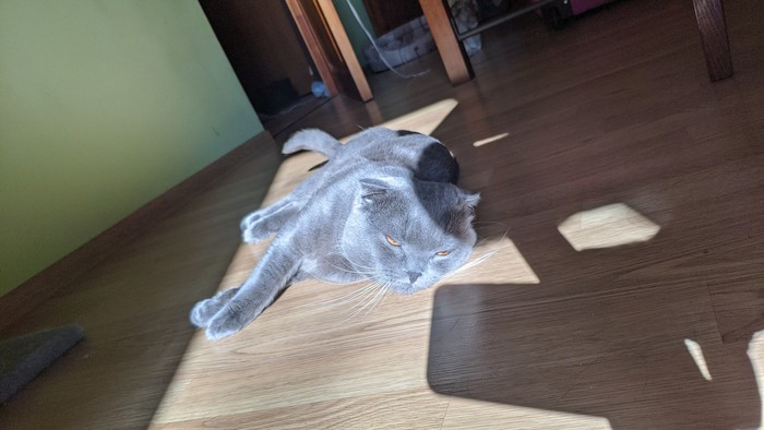 ������ ���� �����