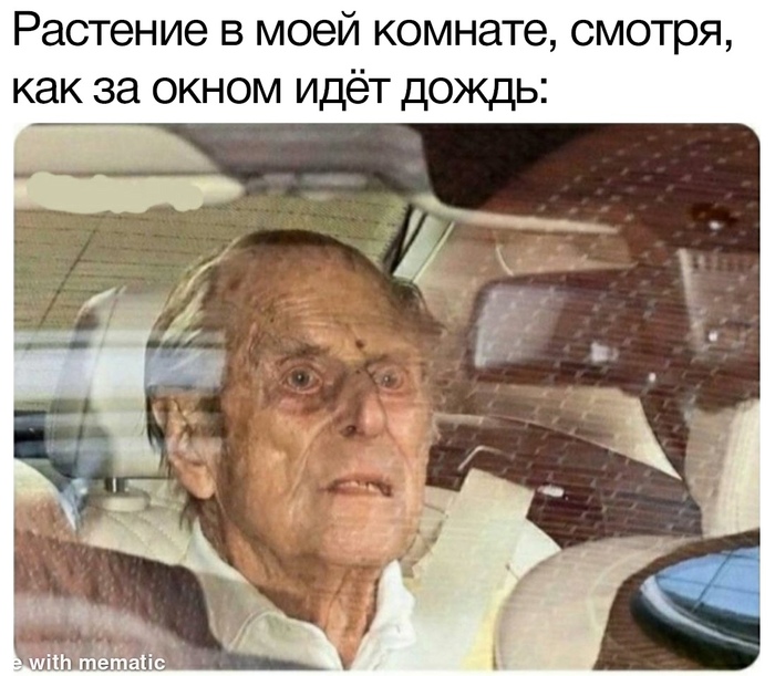 Пора полить