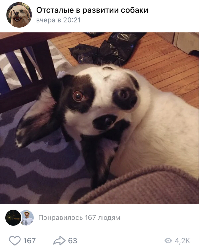 ����� �� ���� ���� ��?�