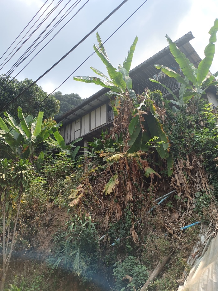 Как в Таиланде живут бесправные хмонги Таиланд, Чиангмай, Путешествия, Юго-Восточная Азия, Иммиграция, Жизнь за границей, Длиннопост