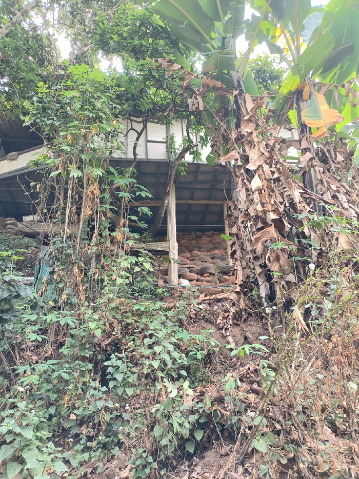 Как в Таиланде живут бесправные хмонги Таиланд, Чиангмай, Путешествия, Юго-Восточная Азия, Иммиграция, Жизнь за границей, Длиннопост