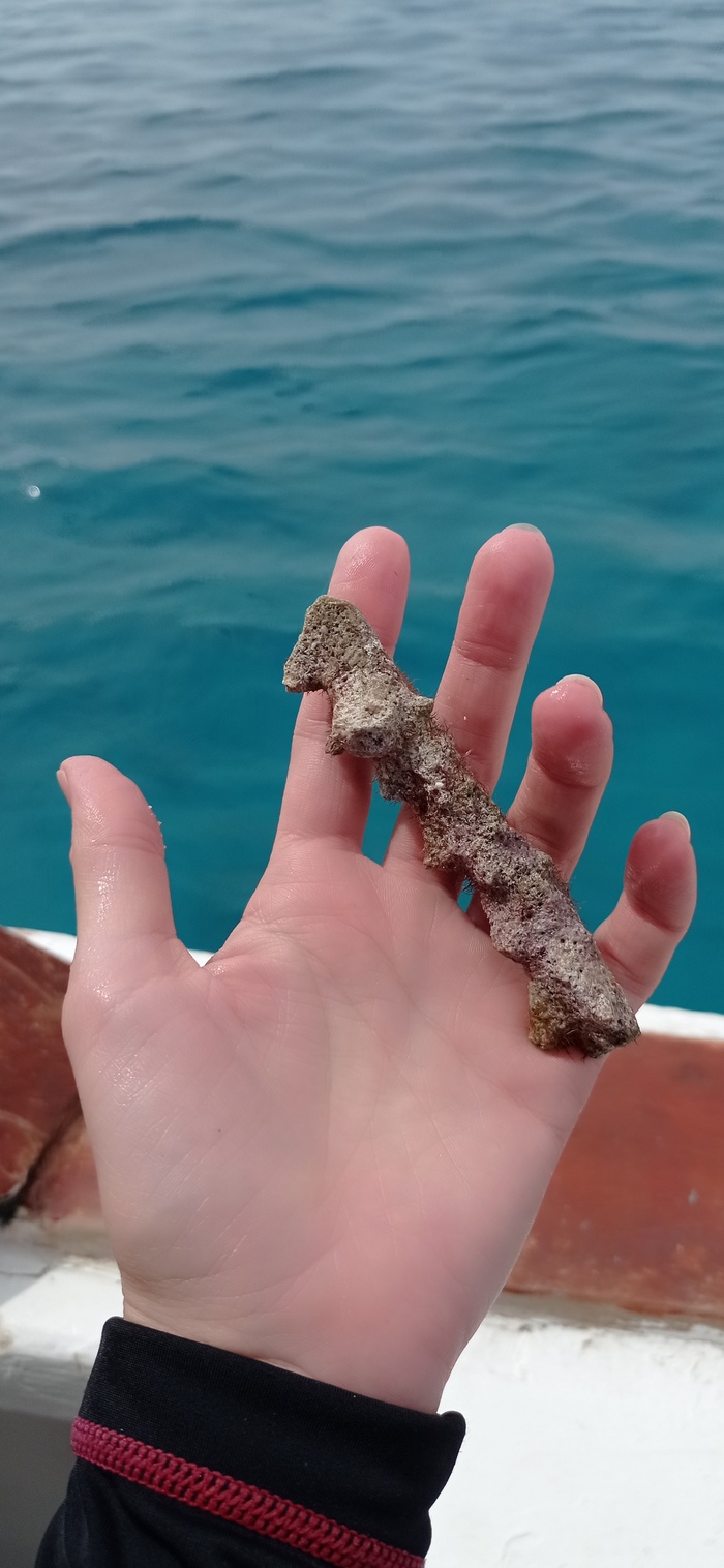 ���������� � ����������