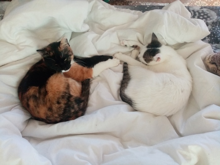 �����?! ��, �� �������