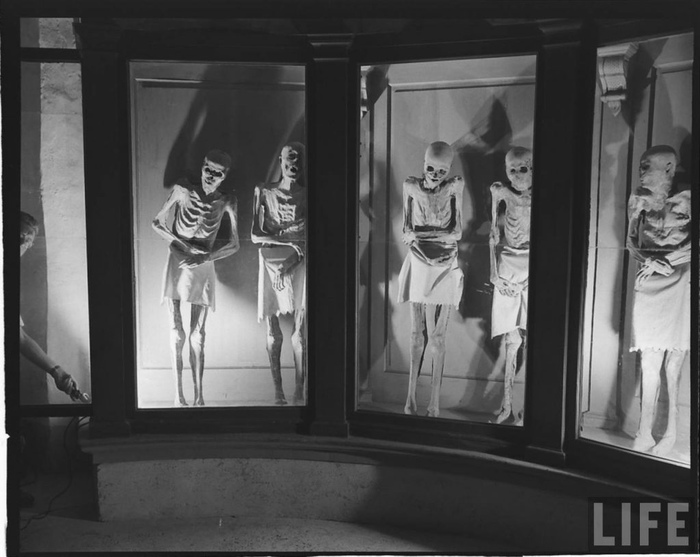 Полвека назад жители итальянского городка жили бок о бок с мумиями, водили их на прогулки и устраивали им чаепития Мумия, Италия, Католическая церковь, Крипота, Страшные истории, Длиннопост, Жесть Полвека назад жители итальянского городка жили бок о бок с мумиями, водили их на прогулки и устраивали им чаепития Мумия, Италия, Католическая церковь, Крипота, Страшные истории, Длиннопост, Жесть