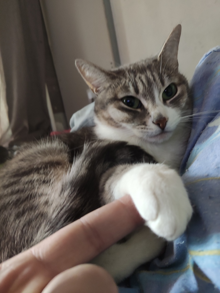 ����-�����