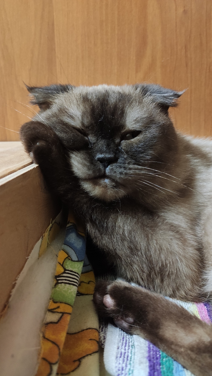 ����, ���������� �������, ������ ���...��� ��?!?