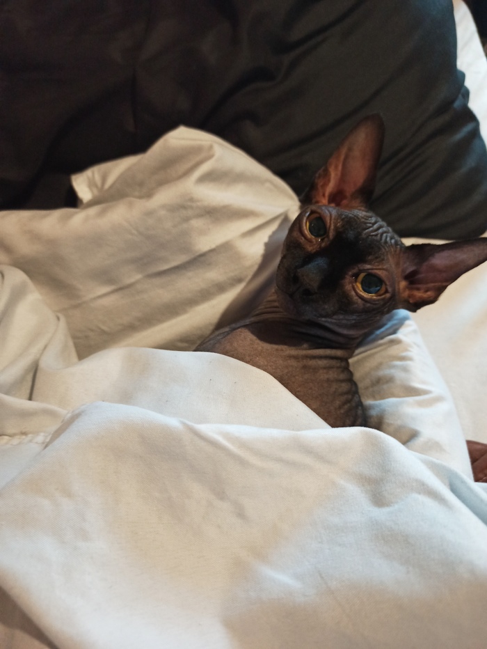 �� ������ ����