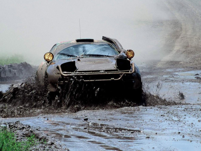 10        ( ) , Wrc, , , 