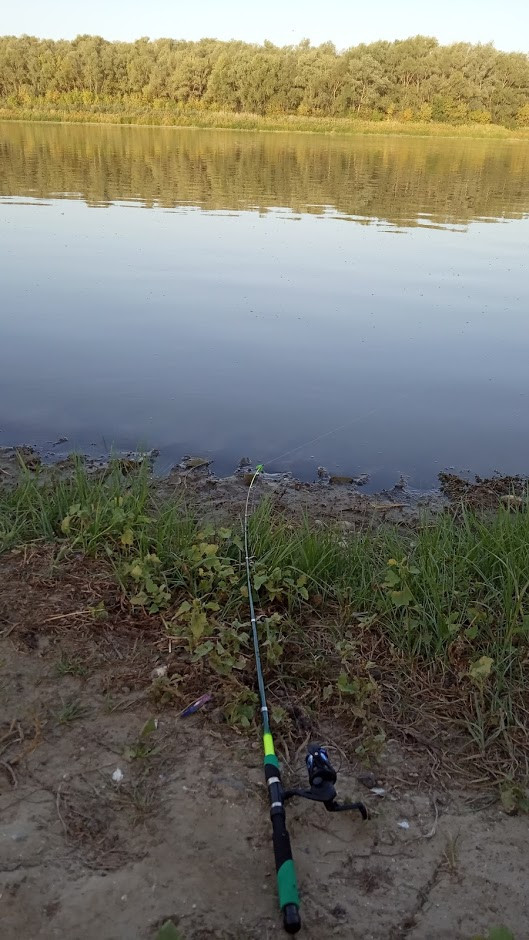 какие рыбы водятся в озере абрау дюрсо. Смотреть фото какие рыбы водятся в озере абрау дюрсо. Смотреть картинку какие рыбы водятся в озере абрау дюрсо. Картинка про какие рыбы водятся в озере абрау дюрсо. Фото какие рыбы водятся в озере абрау дюрсо