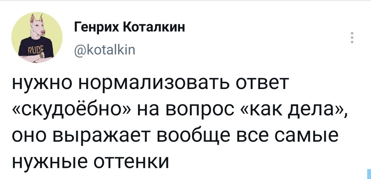 Сносно. Настоящие герои не носят плащи. Не все герои носят плащи песня. Не все герои носят плащи Мем. Не все герои носят плащи текст.