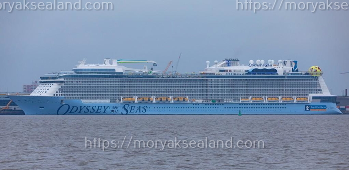   Odyssey of the Seas    