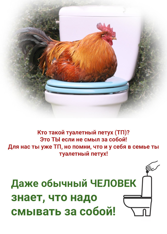 Я петух, не смываю собой!