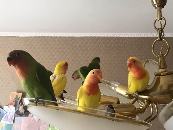 ����� ����� ������� ��������-������������� ...