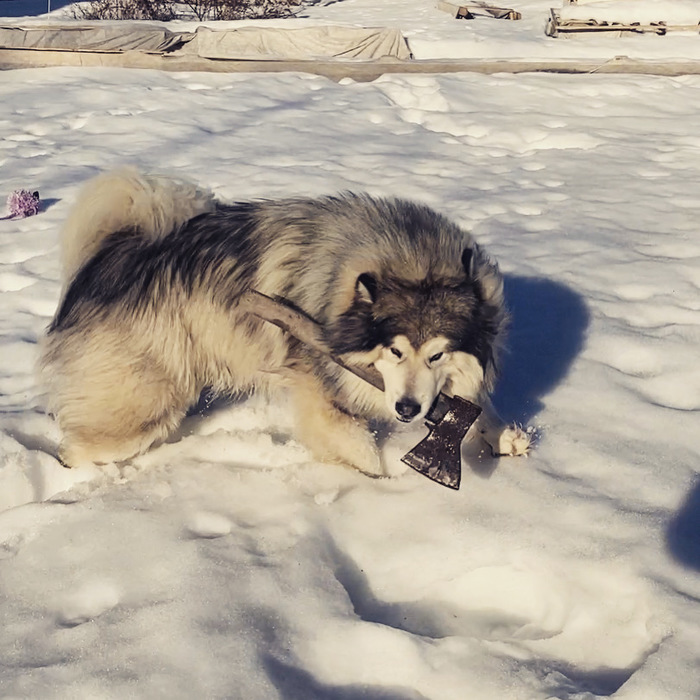 ������ ���� � �����