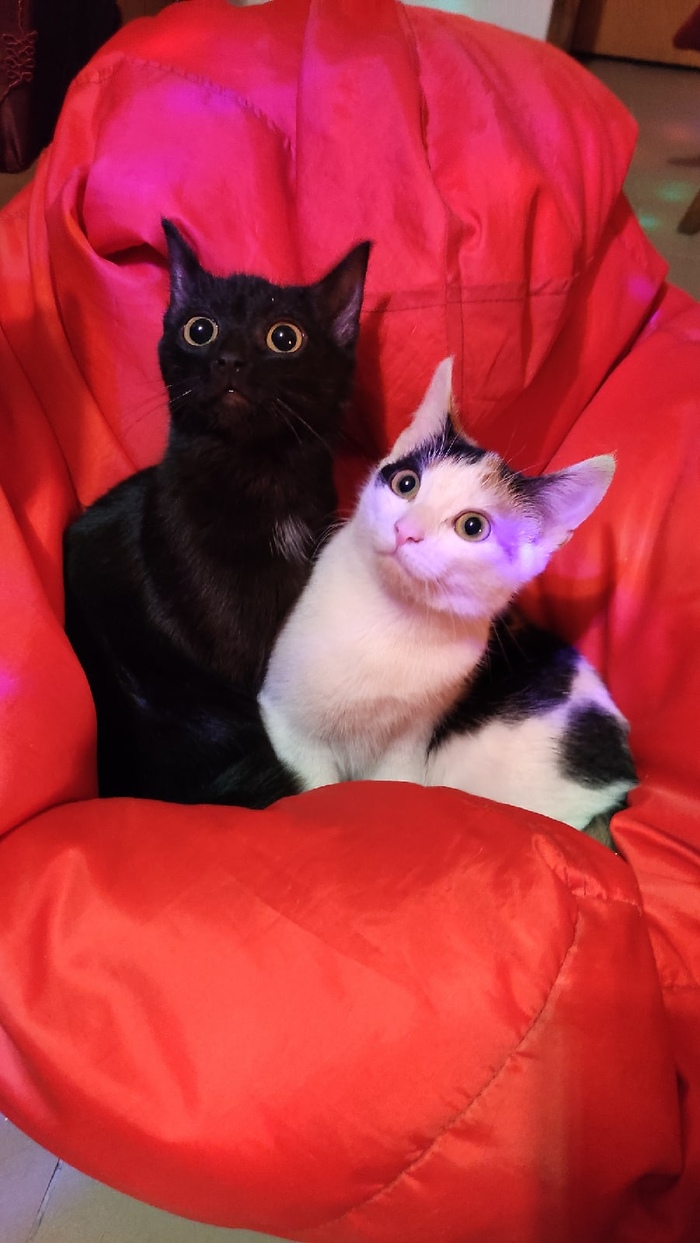 ������!...