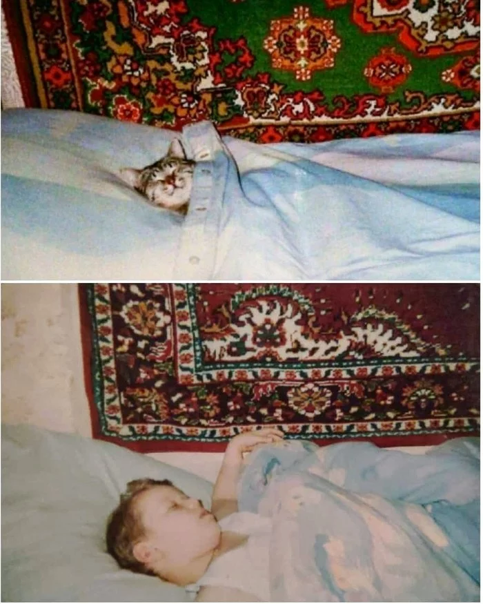 Такое вообще бывает? Кот, Совпадение, Фотография, Животные, Милота, Домашние животные, Жизнь, Детство, Сон, Мысли, Первый пост, Не фотошоп