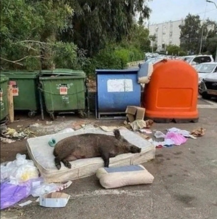 Когда съехал от родителей