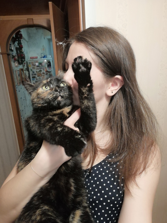 ������ � ���������� �� ���������� �� ���