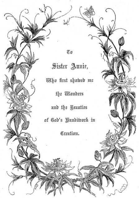 Ищу художника для оформления писем | Пикабу