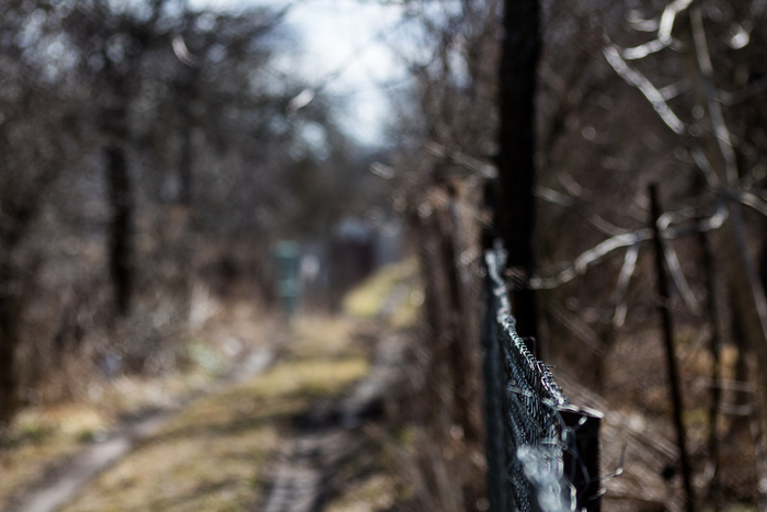 ����� �����