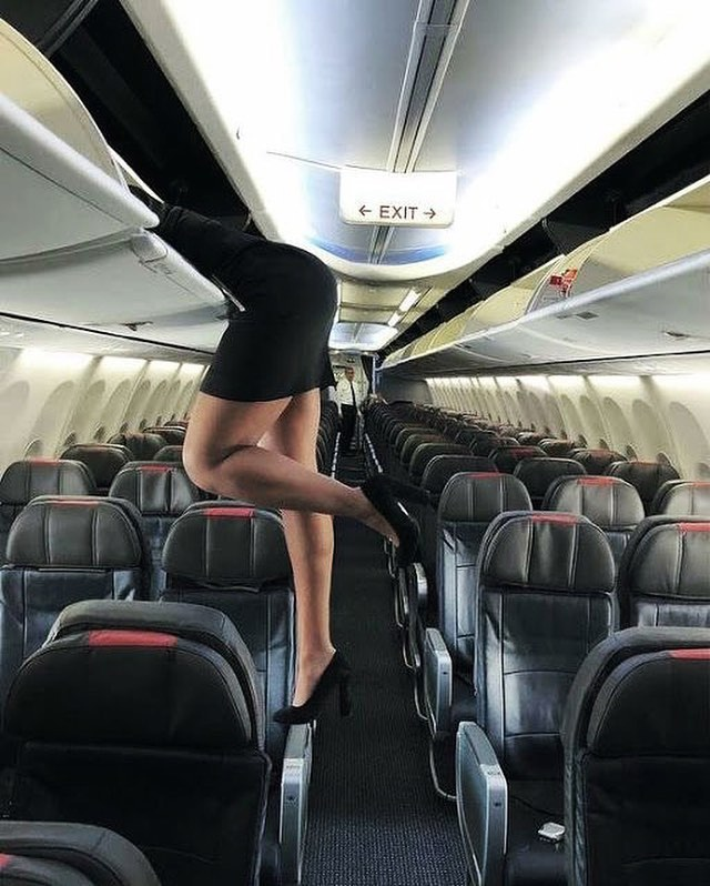 The mile high club что это. 1617595531111569341. The mile high club что это фото. The mile high club что это-1617595531111569341. картинка The mile high club что это. картинка 1617595531111569341