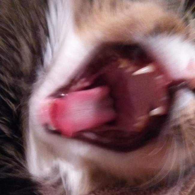    ) , , , 