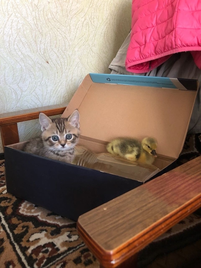 ��� � ����