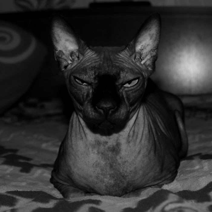 ������� �����