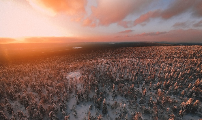     DJI, Dji Spark, , ,  , 