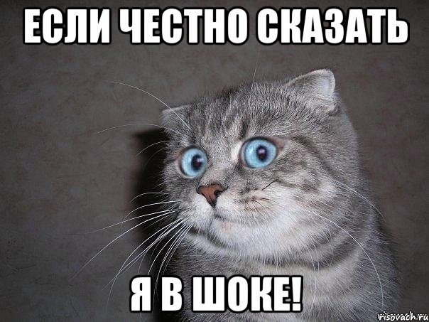 Чикатило и цыгане