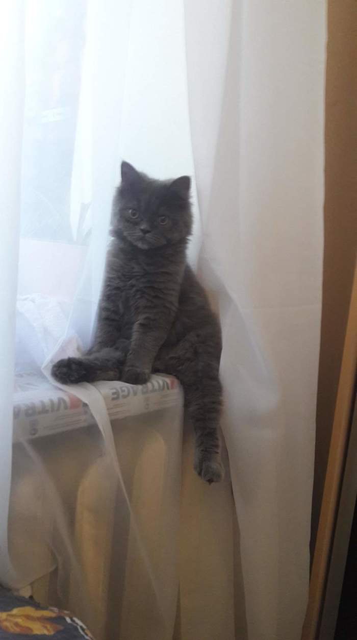 � ���, �������� ������ � ���!