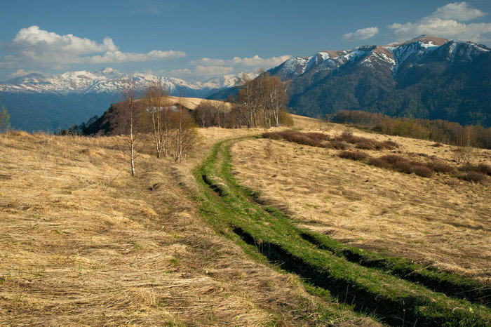 ���� �������� ������ ��� � ����?