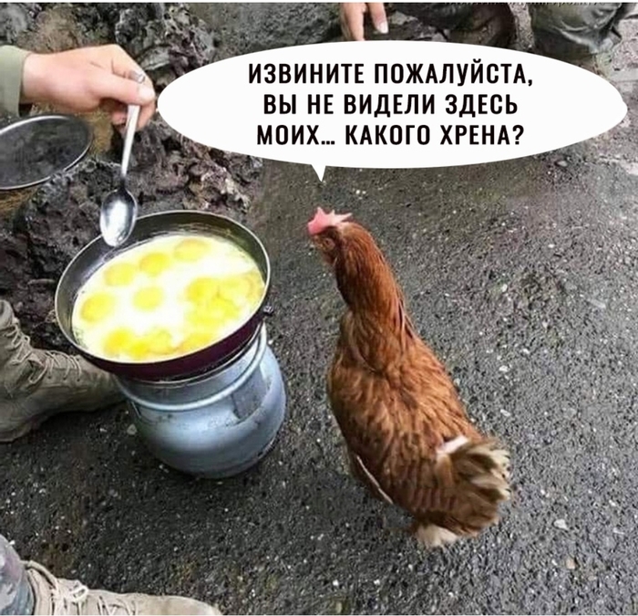 что делать если недоварил яйца. Смотреть фото что делать если недоварил яйца. Смотреть картинку что делать если недоварил яйца. Картинка про что делать если недоварил яйца. Фото что делать если недоварил яйца