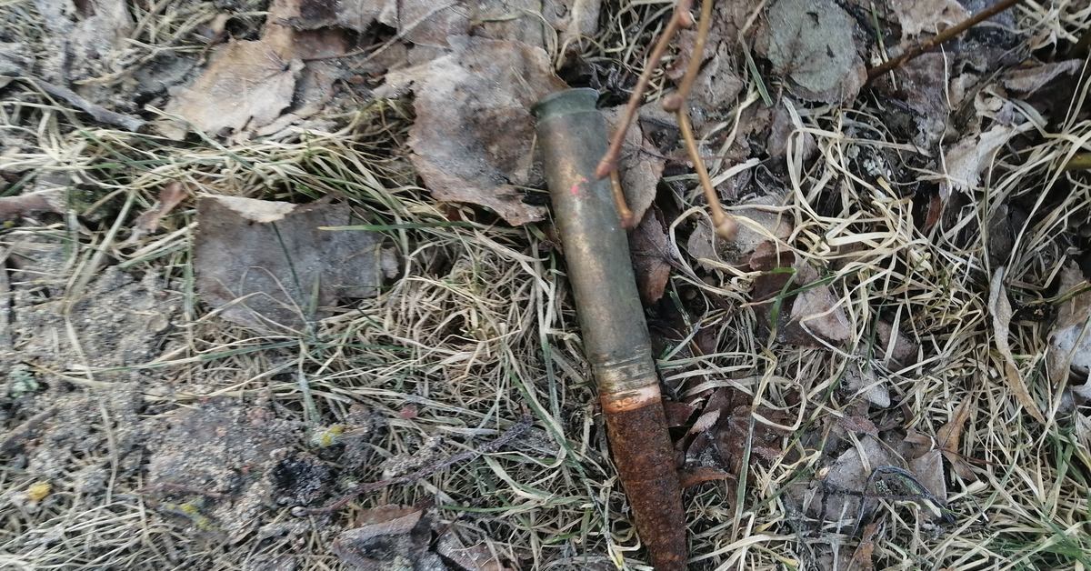 два патрона нашли