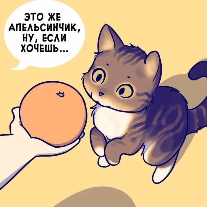      , , , My Little Pony, , Katputze