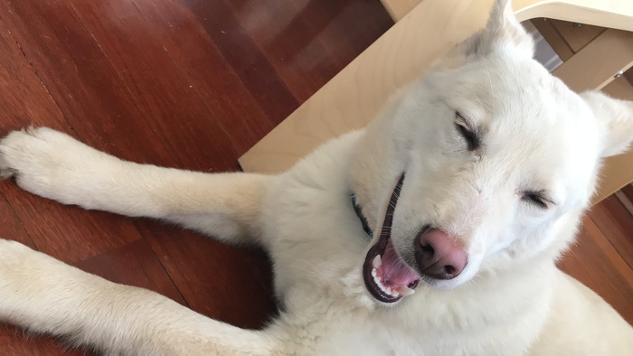 Прибавление в семье