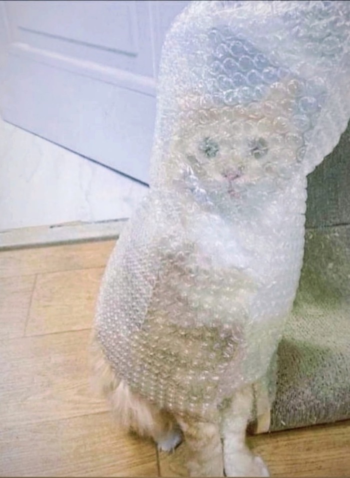 Когда пришёл чпокаться