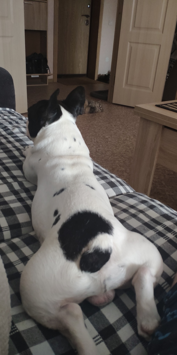 Субботний чилаут