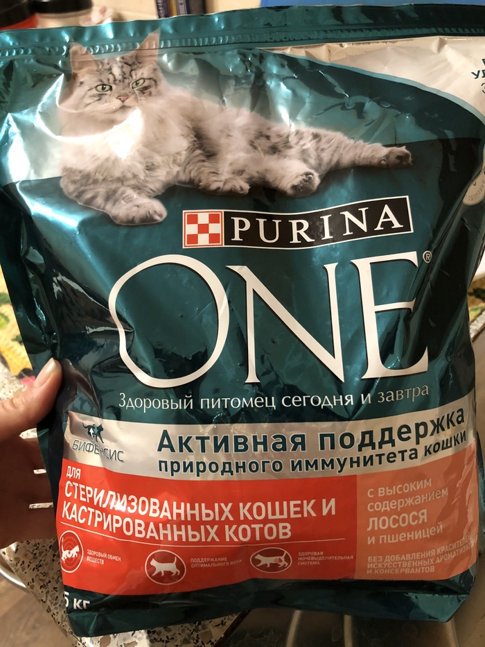 Нужна помощь советом Кот, Длиннопост, Нужен совет, Помощь