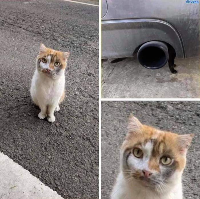 ����� �������