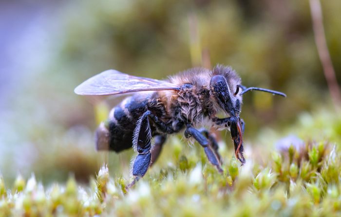 Весна. Первый вылет