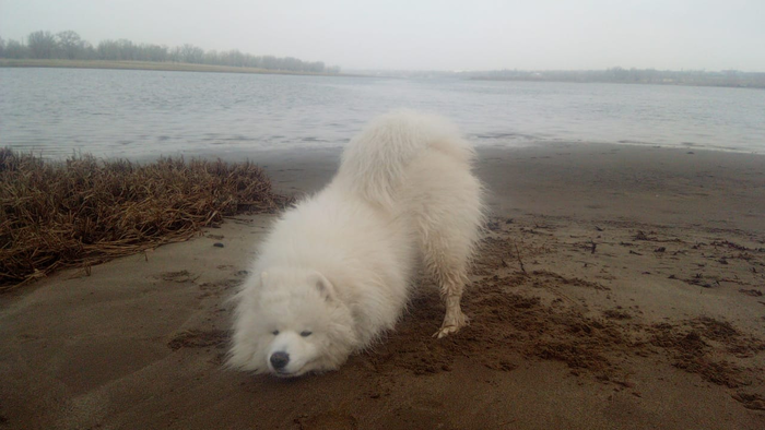 ������� �����