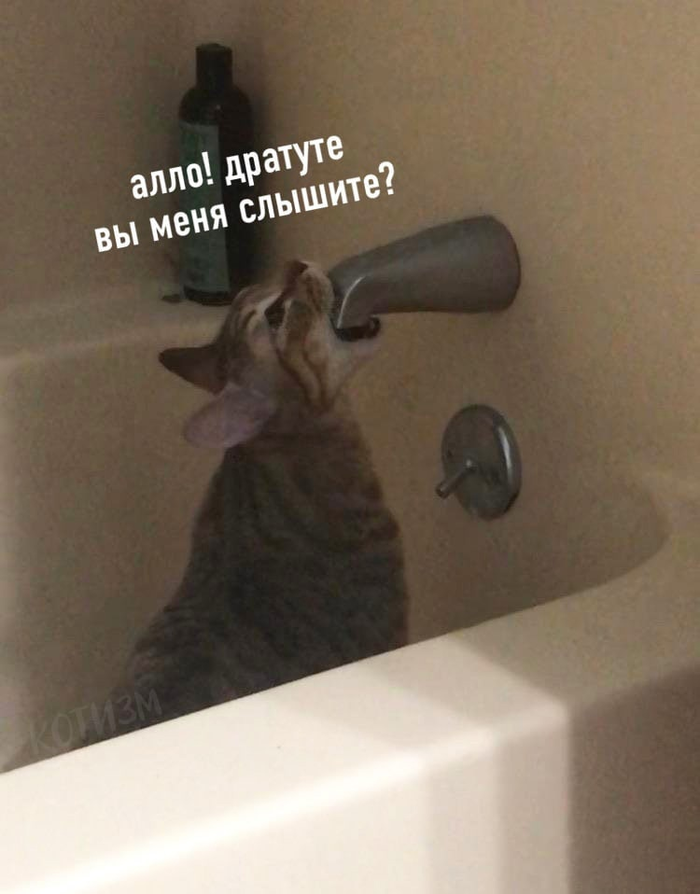  - ,   , , ,   , , , ,  