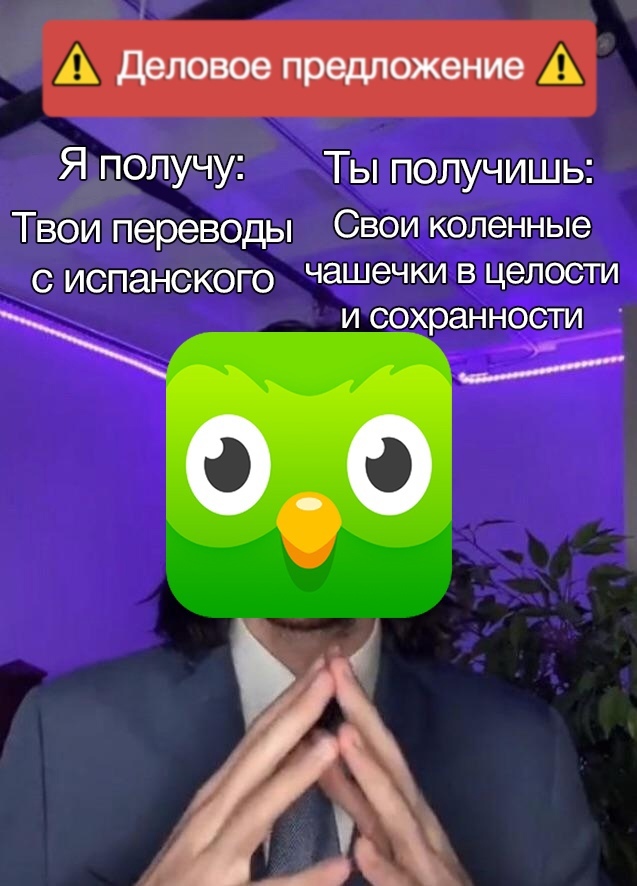   ,   , Duolingo,  ,  