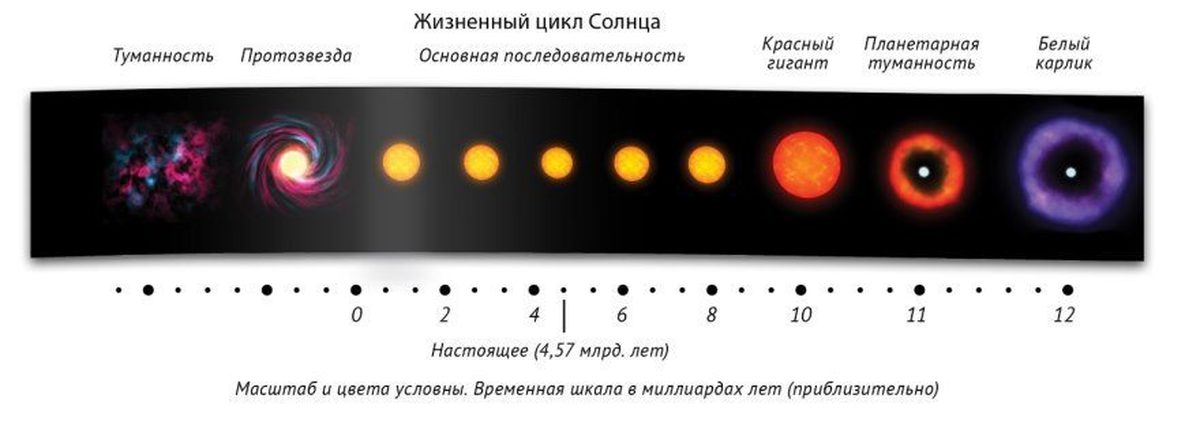Эволюция белых карликов. Жизненный цикл звезды спектрального класса. Этапы жизненного цикла солнца. Схема для этапов жизненного цикла солнца.. Стадии развития звезды типа солнца.