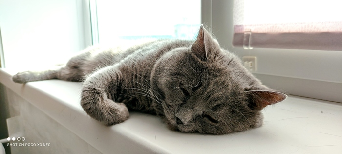 ����� ����� ������� ��������